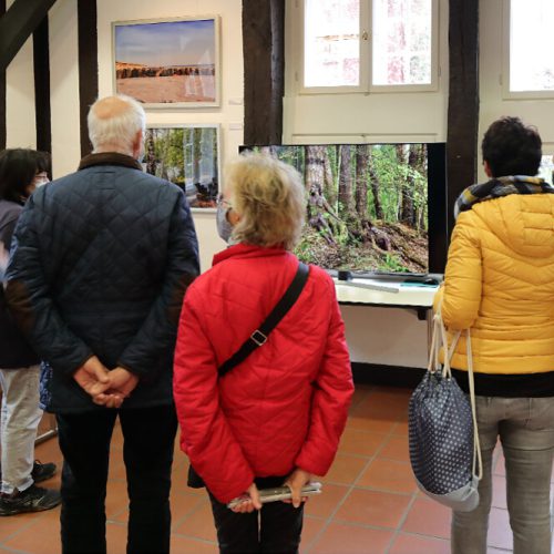 Besucherinnen und Besucher betrachten Bilder von Künstler Jörg Düsterwald, die in einer Ausstellung präsentiert werden.