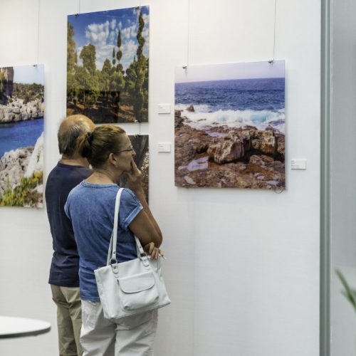 Besucherinnen und Besucher betrachten Bilder von Künstler Jörg Düsterwald, die in einer Ausstellung präsentiert werden.